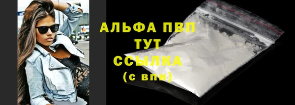ECSTASY Белокуриха