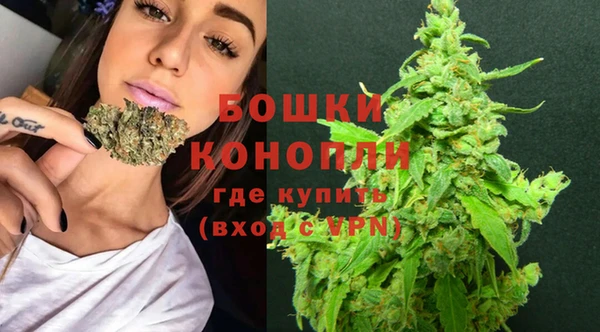 трава Бронницы