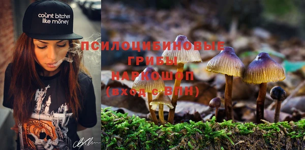 каннабис Бородино
