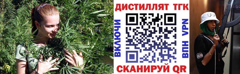 KRAKEN ССЫЛКА  Гусев  ТГК жижа 