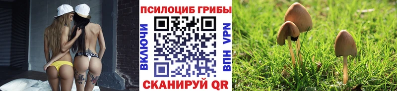 ссылка на мегу ссылки  Гусев  Псилоцибиновые грибы Psilocybine cubensis 