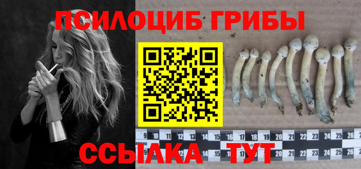 Галлюциногенные грибы мухоморы  продажа наркотиков  Гусев 
