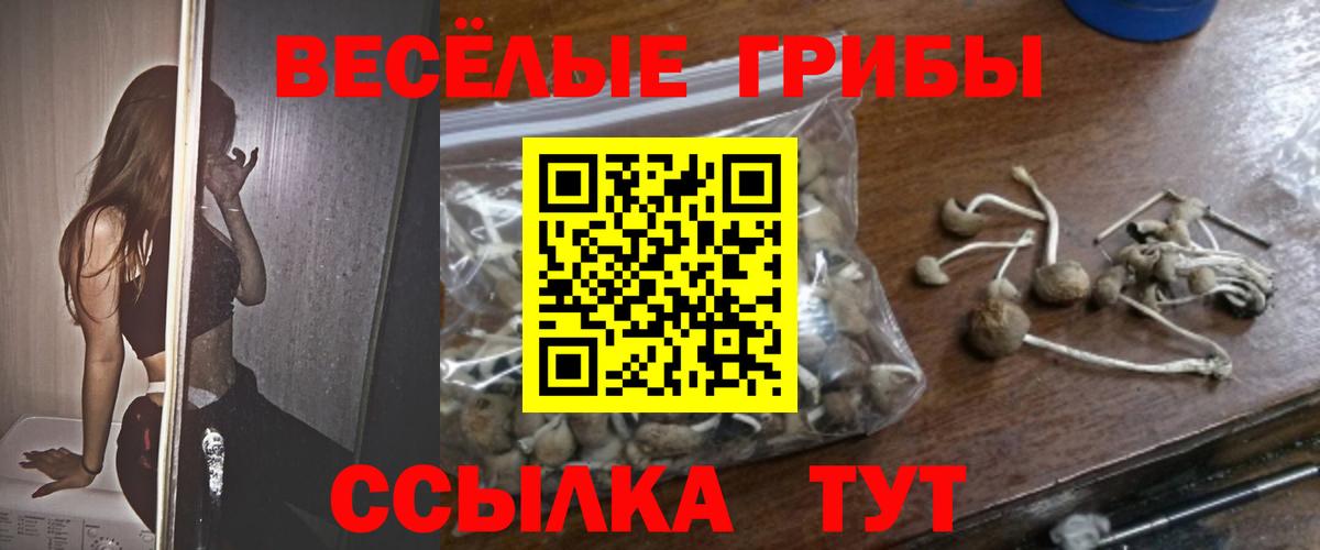 Гусев  Галлюциногенные грибы Magic Shrooms  Вход с VPN 